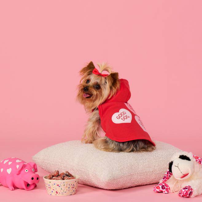 Dog relaxing on a rug in a pink colored room wearing a Valentine’s Day outfit and red hair bow.