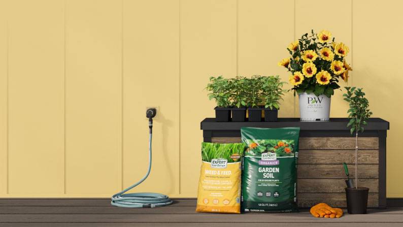 An outdoor table with Proven Winners hibiscus, potted plants and Expert Gardener soil and fertilizer against a yellow shed wall.