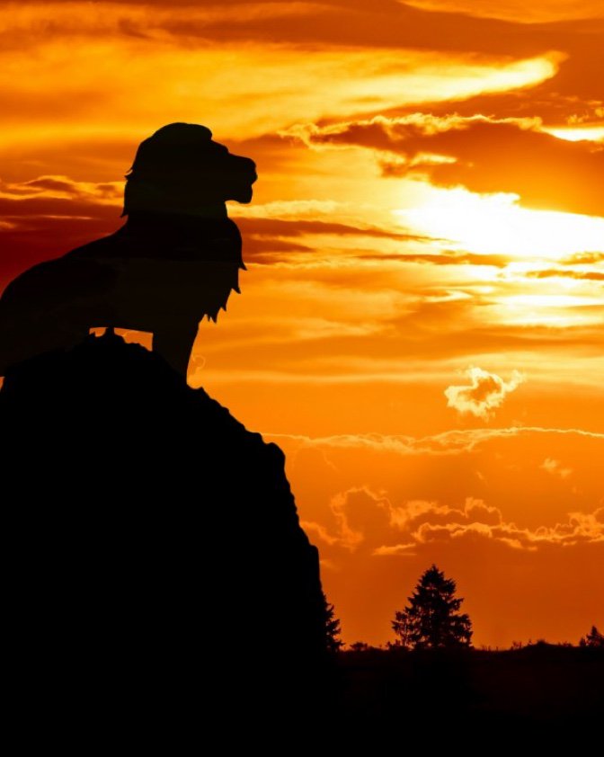 A silhouette of a lion on a rock.