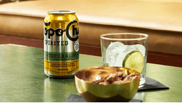 Topo Chico Spirited - Walmart.com