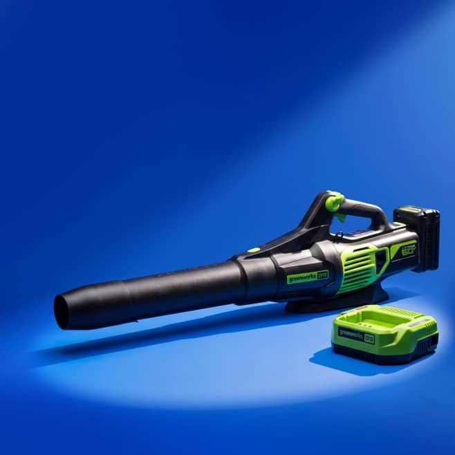 Greenworks cordless leaf blower with separate rechargeable battery pack.