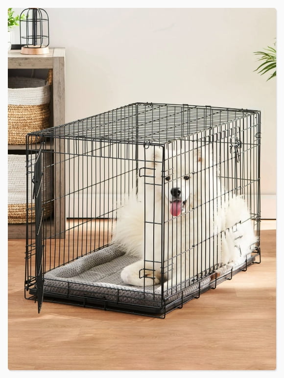 Small Dog Beds in Dog Beds