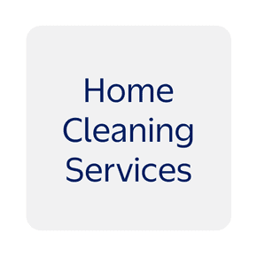 Home cleaning services