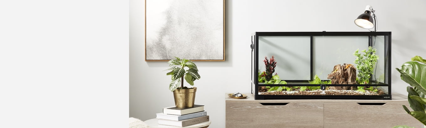 all living things 40 gallon desert reptile starter kit