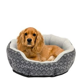 Dogs Dog Beds