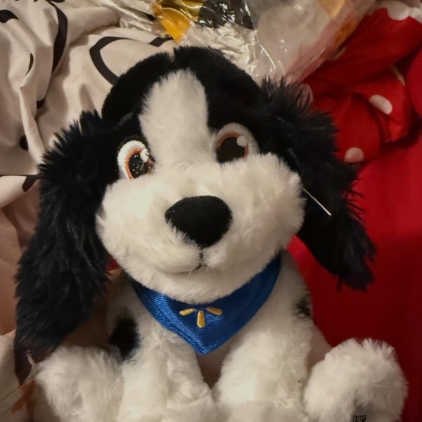 Photo from @milkywaydragonite handle, with 1 product.