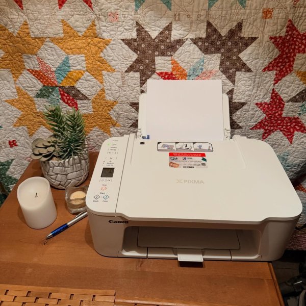 Photo from @dailyscrapper handle, with 1 product.