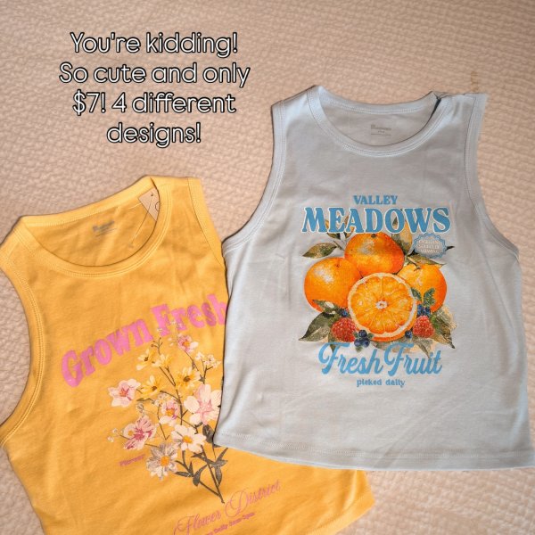 Photo from @blondewithabudget__ handle, with 1 product.