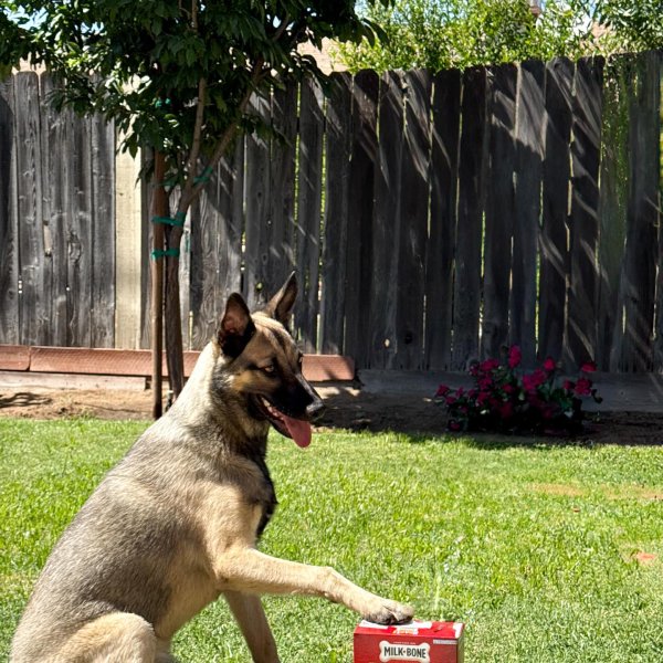 Photo from @brandy_reyes76 handle, with 1 product.