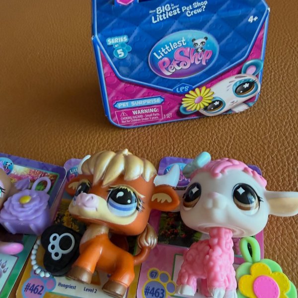 Photo from @moveswithmaggie handle, with 1 product.