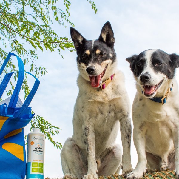 Photo from @paulthecutie handle, with 1 product.