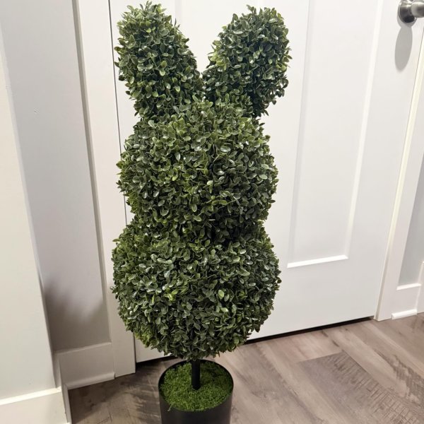 Photo from @sarahmichelleberg handle, with 1 product.