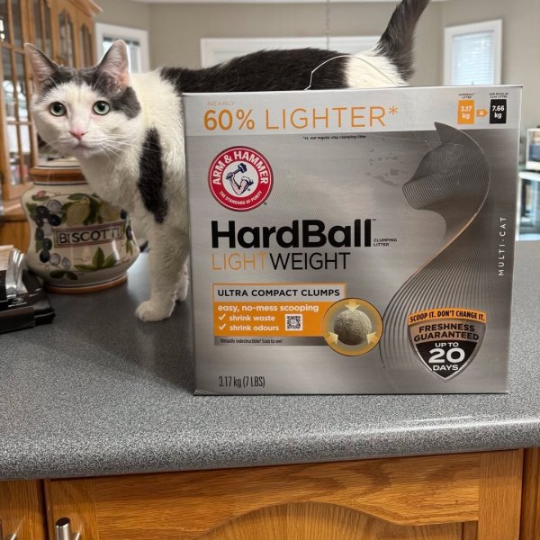 Photo from @bethdimauro handle, with 1 product.