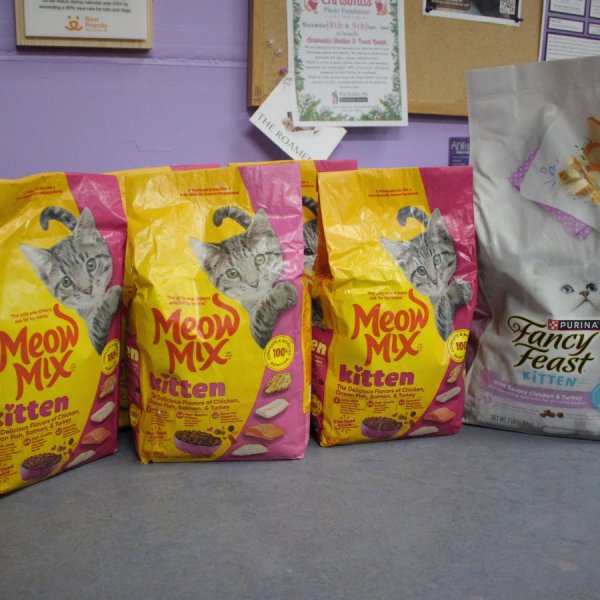 Photo from @animeals handle, with 1 product.