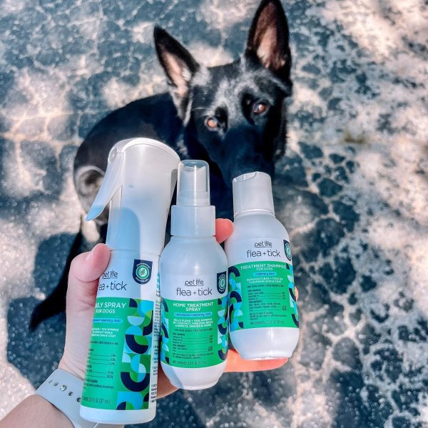 Vet's Best Flea and Tick GentleMist Spray for Cats, Flea Killer with