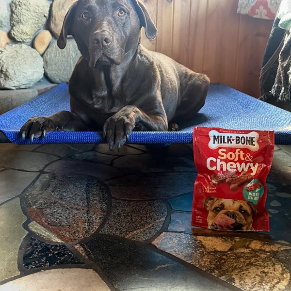 Photo from @rebel_reviewer1981 handle, with 1 product.