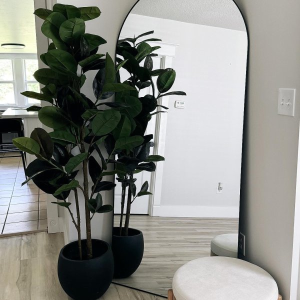 Photo from @emilyy_roberson handle, with 1 product.