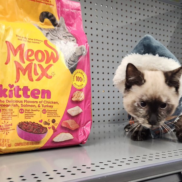 Photo from @willow_232025 handle, with 1 product.