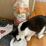 Image 3 of customer photos