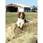 Image 2 of customer photos