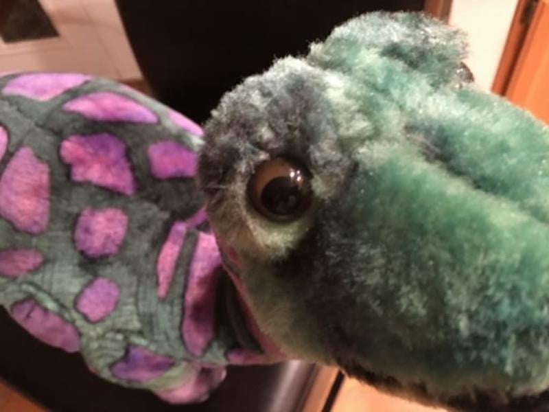 melissa and doug apatosaurus