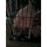 Image 5 of customer photos