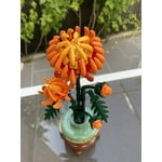 Imagen 5 de las fotos del cliente