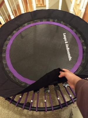Leaps and bounds rebounder sale
