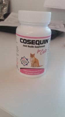 Nutramax Cosequin Maximum Strength Joint Health Supplement For Cats 80 Sprinkle Capsules Walmart Com Walmart Com Nutramax Cosequin Maximum Strength Joint Health Supplement For Cats 80 Sprinkle Capsules Walmart Com Walmart Com