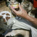 Image 4 of customer photos