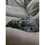 Image 3 of customer photos