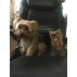 Image 4 of customer photos