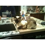 Image 5 of customer photos