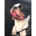 Image 7 of customer photos