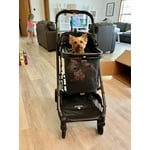 Image 2 of customer photos