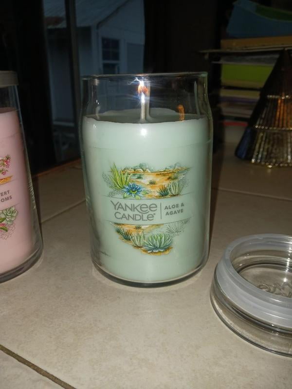 Yankee Candle Aloe & Agave Large 2-Wick Signature Jar Candle - Walmart.com