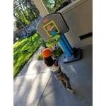 Image 2 of customer photos