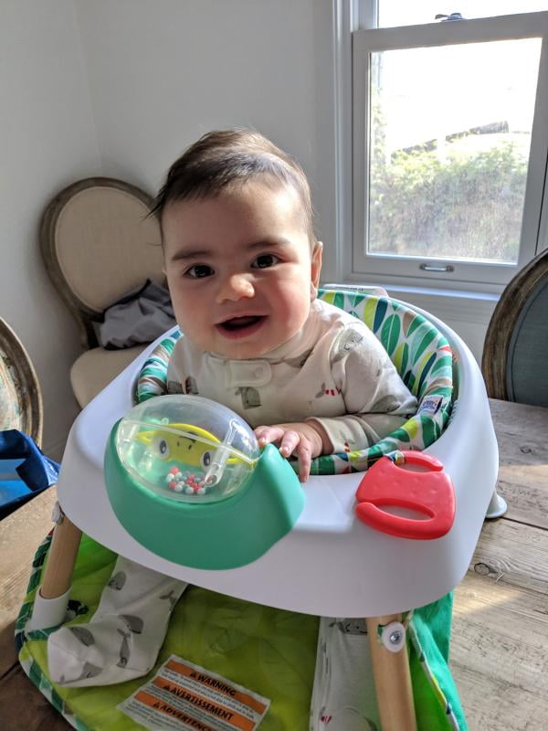 evenflo tiny tropics