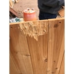 Image 3 of customer photos