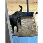 Image 4 of customer photos