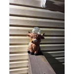 Image 6 of customer photos