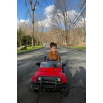 Image 6 of customer photos