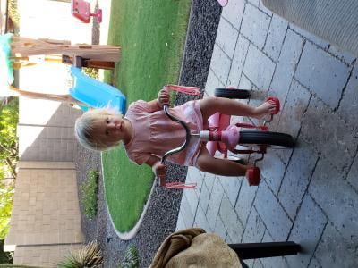 radio flyer ready to ride folding trike