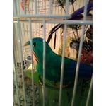 Image 5 of customer photos