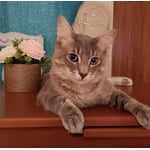 Image 5 of customer photos