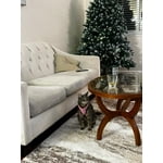 Image 7 of customer photos