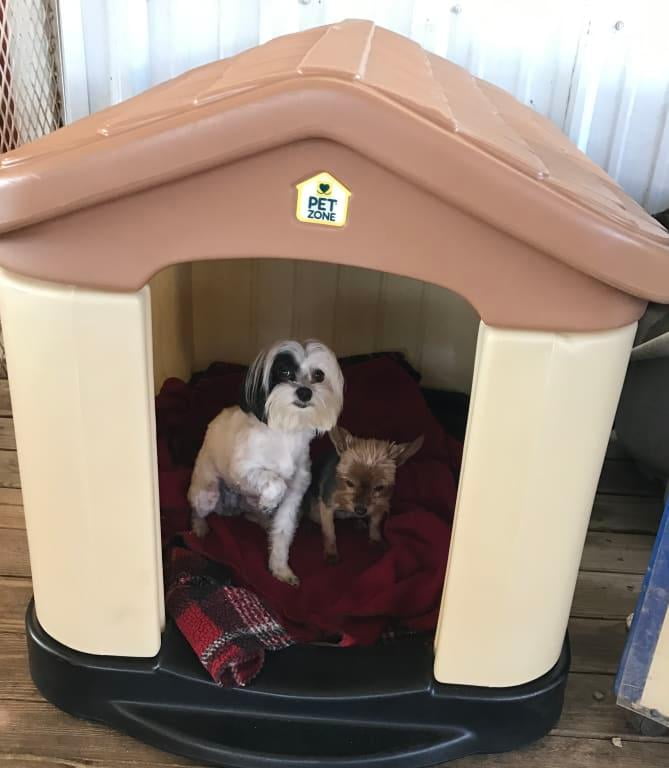 pet zone cozy cottage dog house