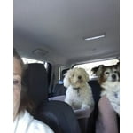 Image 3 of customer photos