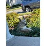 Image 5 of customer photos