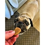 Image 6 of customer photos